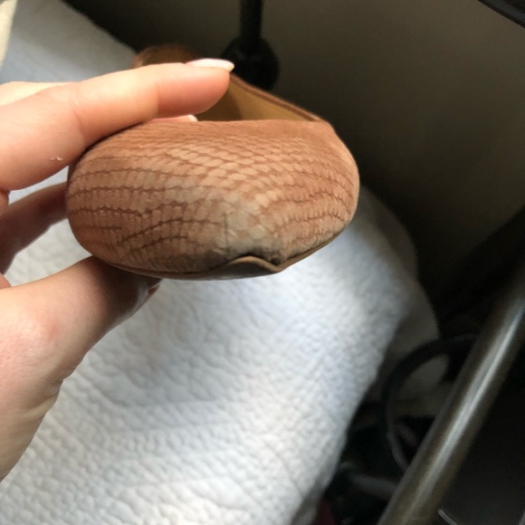 Talbots flats - Picture 4 of 6